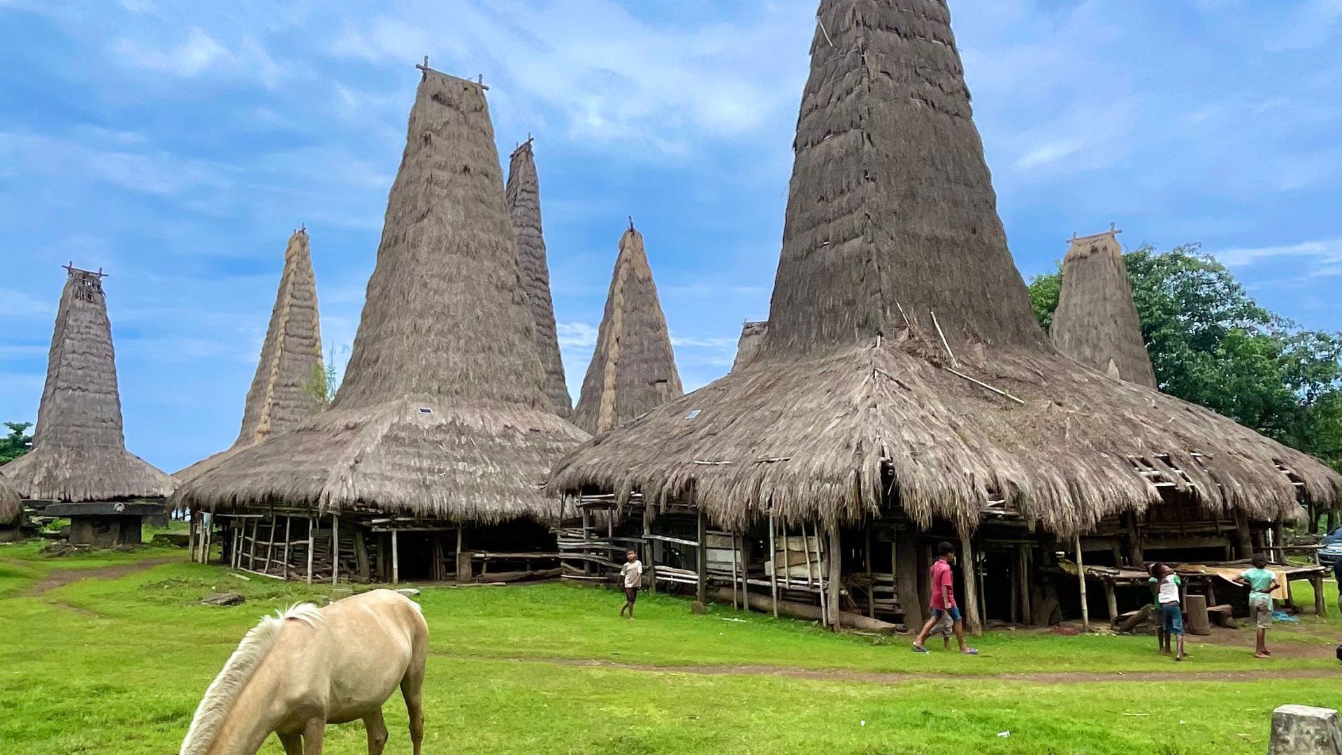Sumba Island - Traditional Village