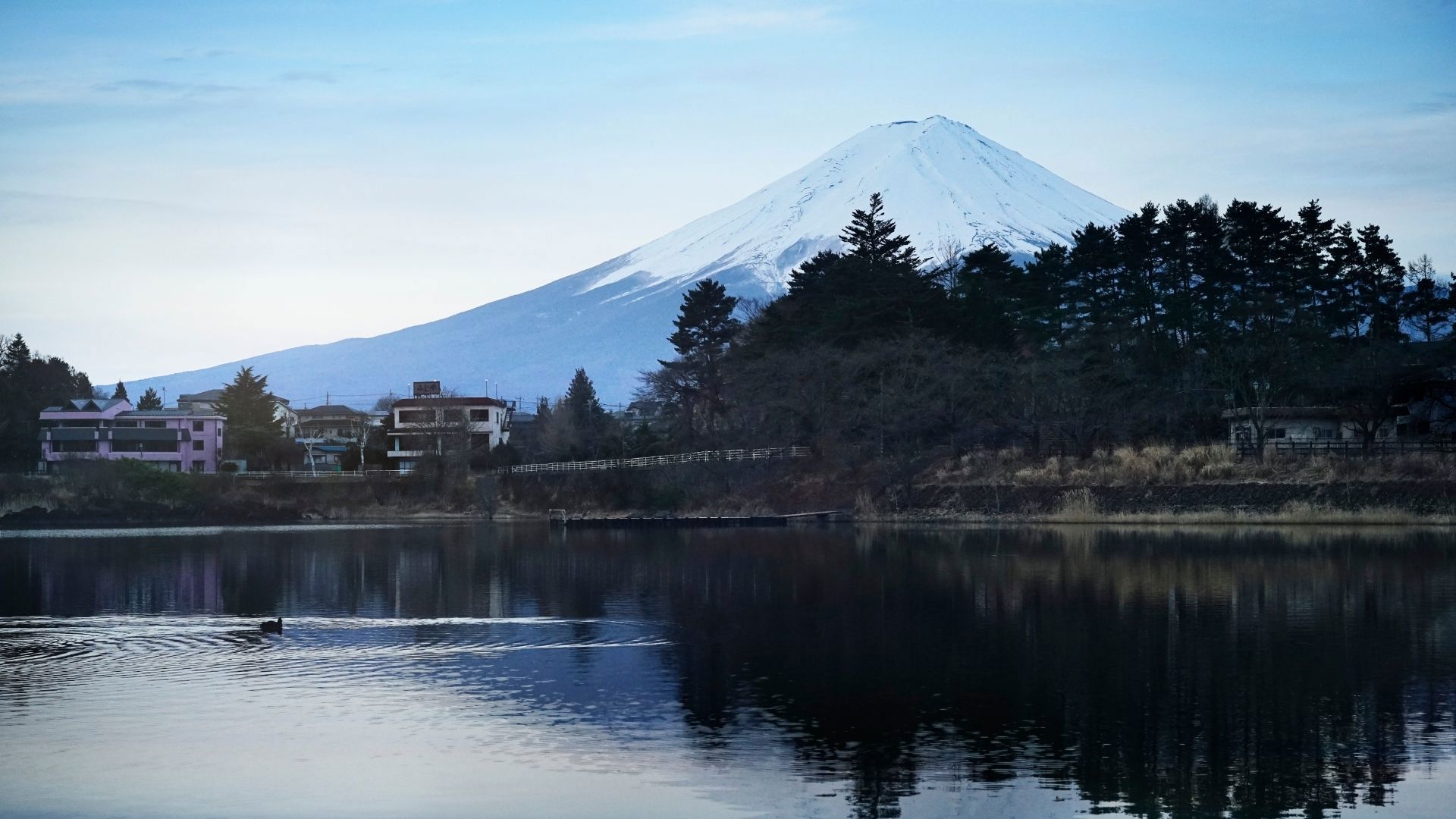 Discover Japan with Princess Cruises