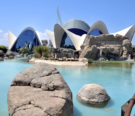 Oceanografic aquarium In Valencia, Spain