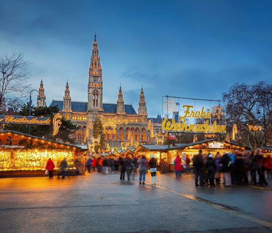 Christmas Market Vienna