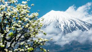 Mt. Fuji Japan