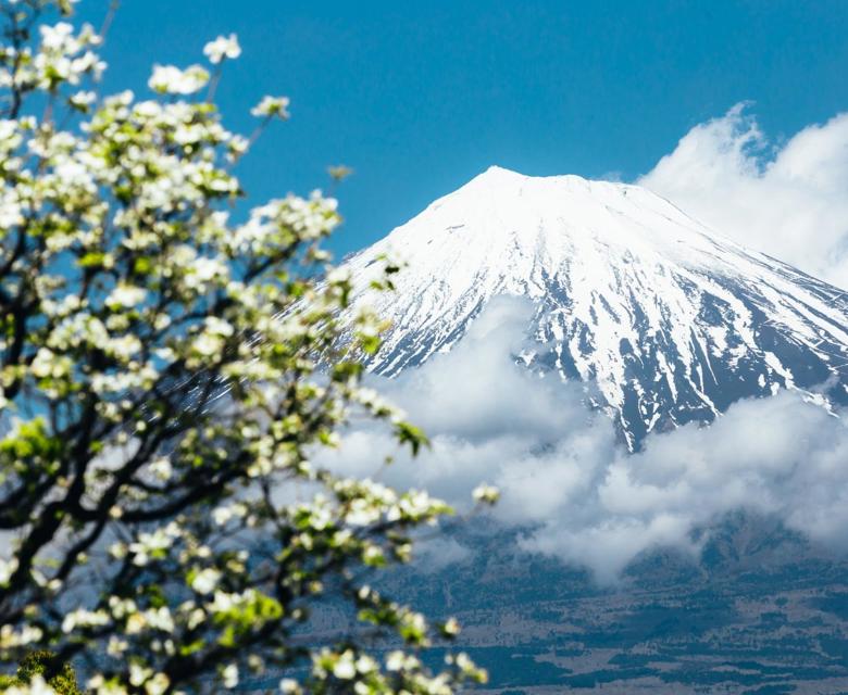 Mt. Fuji Japan