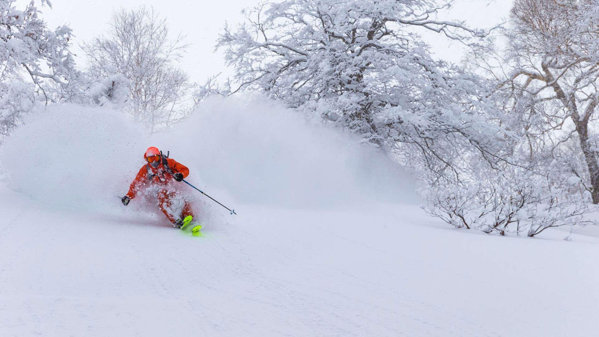 Stay & Ski Naeba - Travel & CO