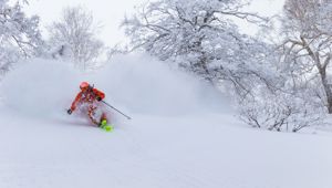Stay & Ski Naeba - Travel & CO