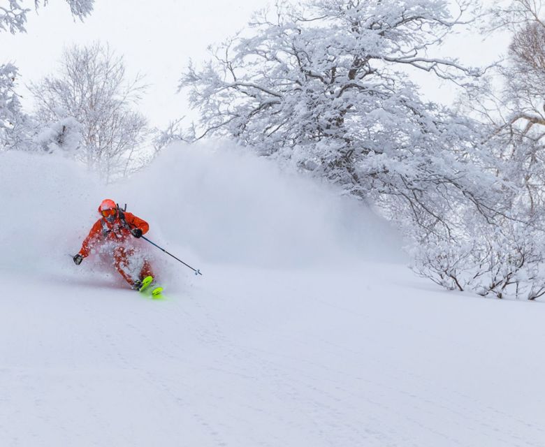 Stay & Ski Naeba - Travel & CO