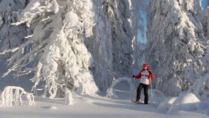 Snowshoeing © Hannu Huttu