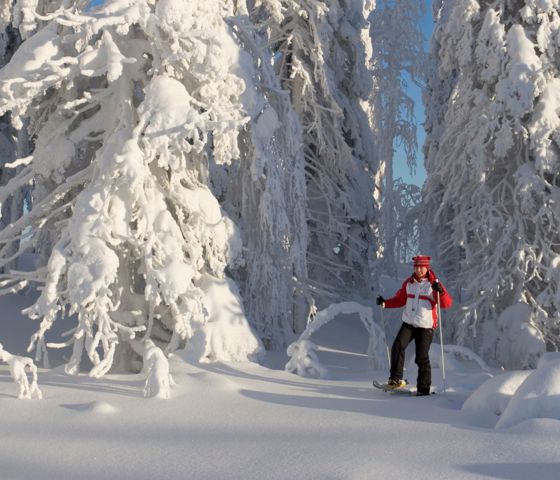 Christmas In Finland Snowshoe © Hannu Huttu