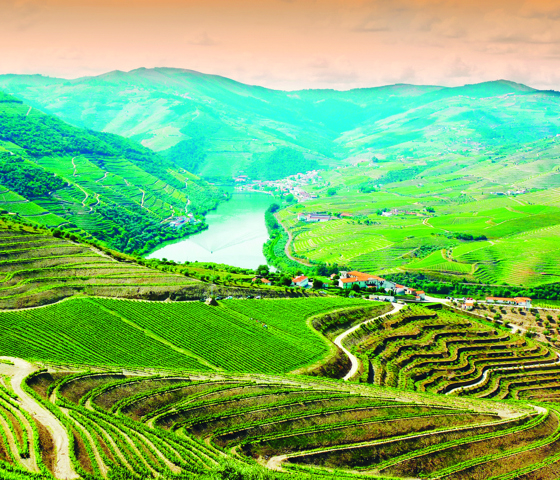 Douro Valley Portugal