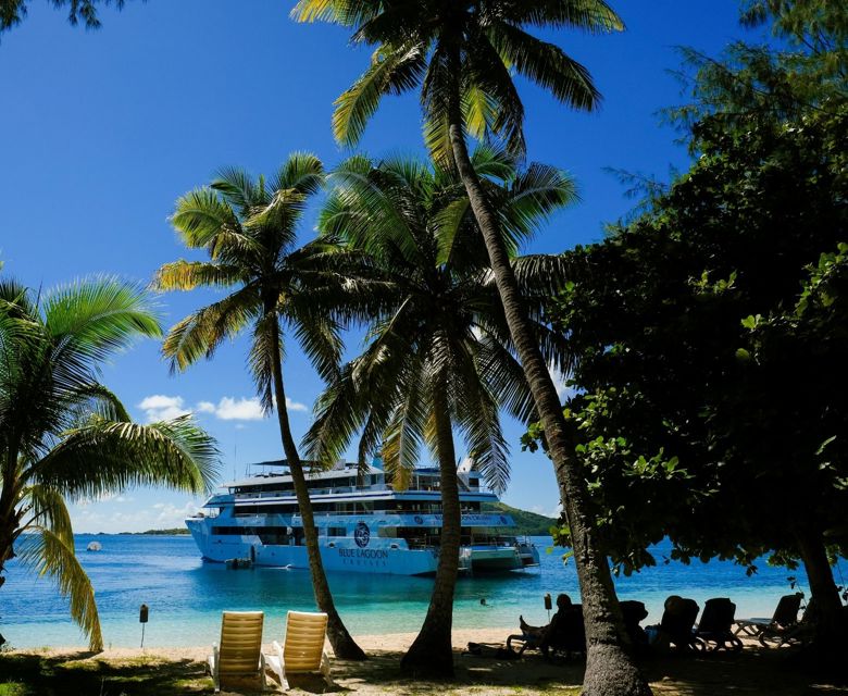 Fiji Princess ties up to a coconut tree off the beach