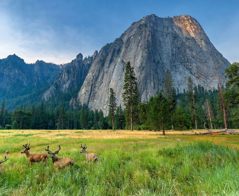 North America Usa California Yosemite National Park