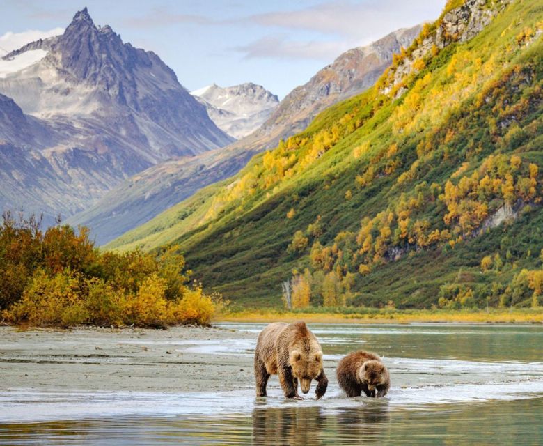 Alaska cruise packages