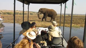 Sunway Botswana Chobe Wayne Mwango.