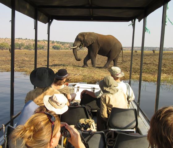 Sunway Botswana Chobe Wayne Mwango-3233