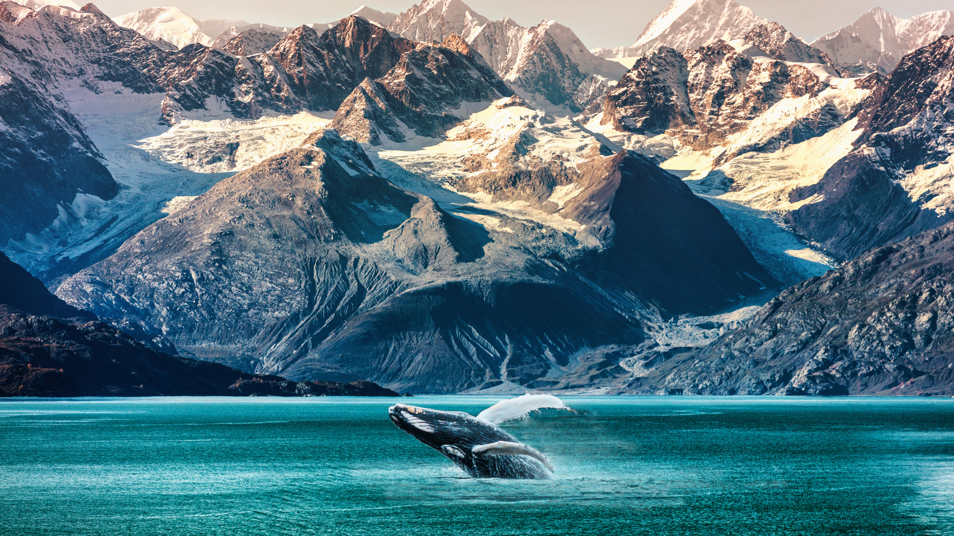 Alaska Inside Passage