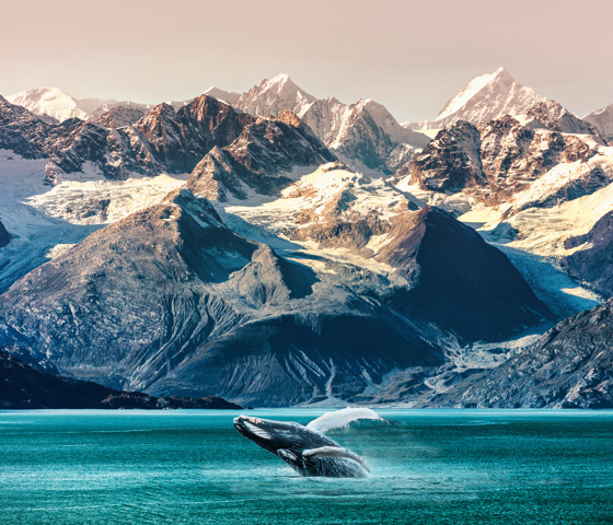 Alaska Inside Passage 