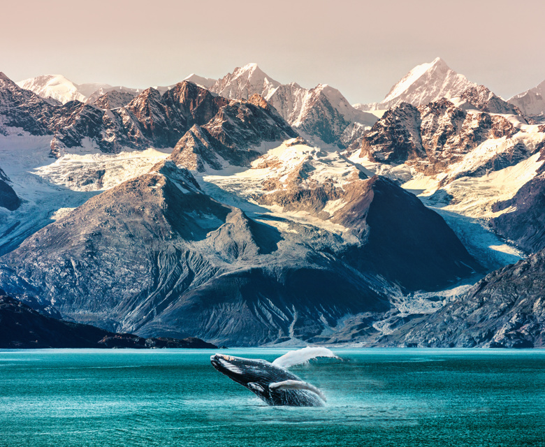 Alaska Inside Passage 