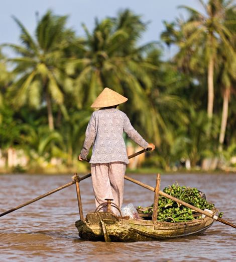Woman rowing boat Mekong River in Vietnam