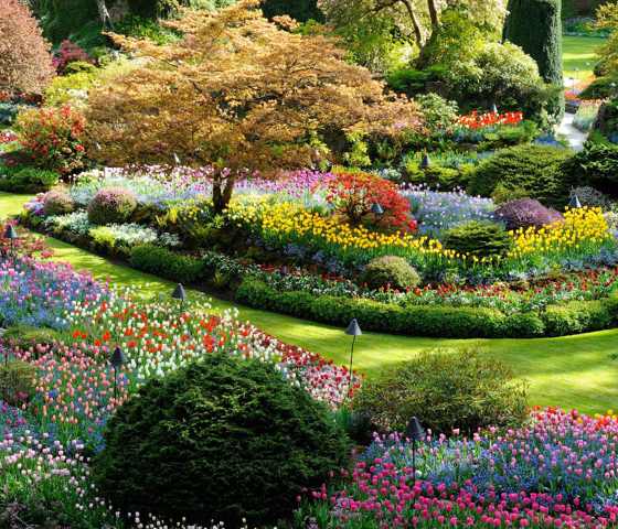 Butchart Gardens