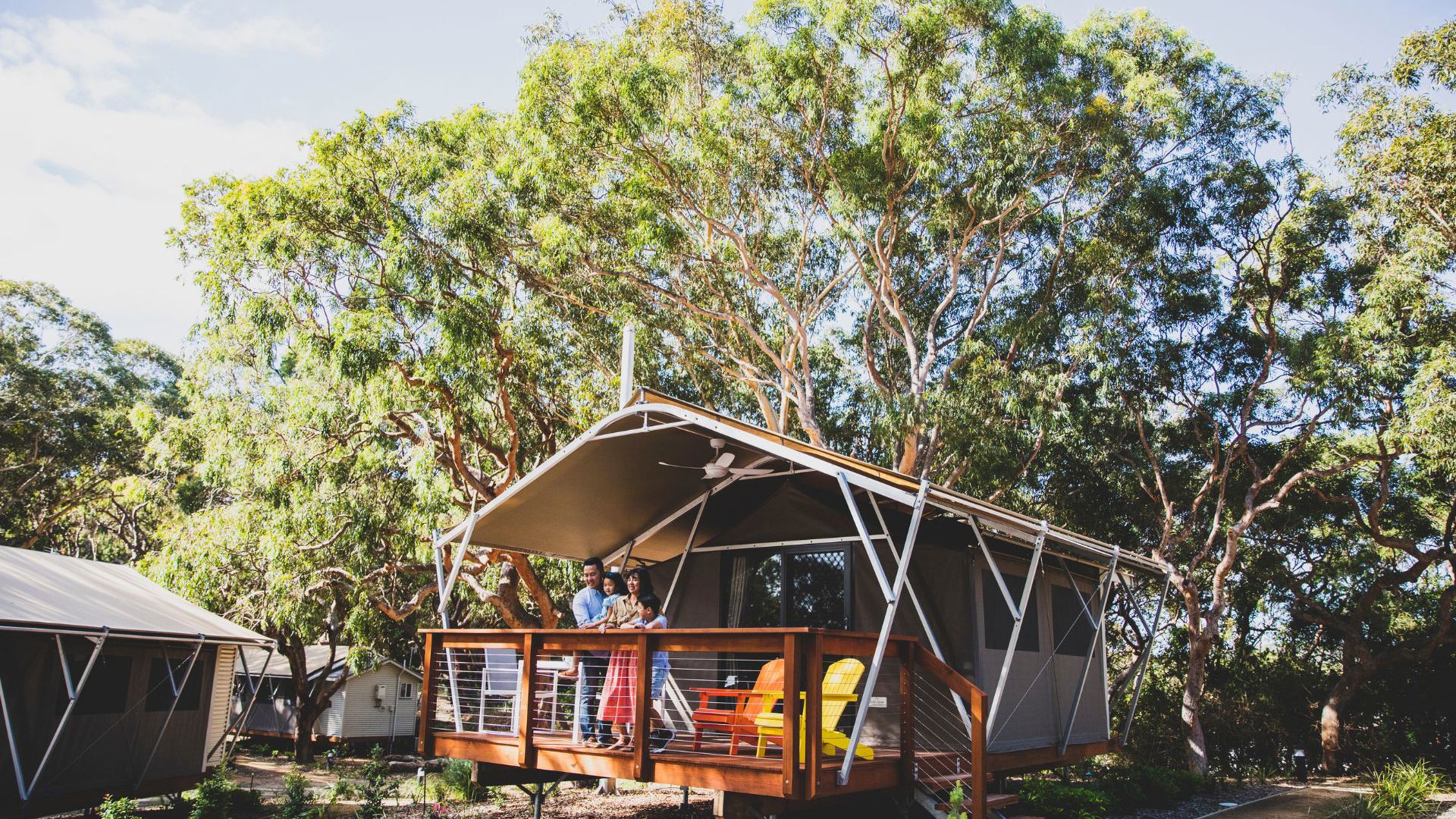 Koala Sanctuary Port Stephens, One Mile 177519 © Destination NSW