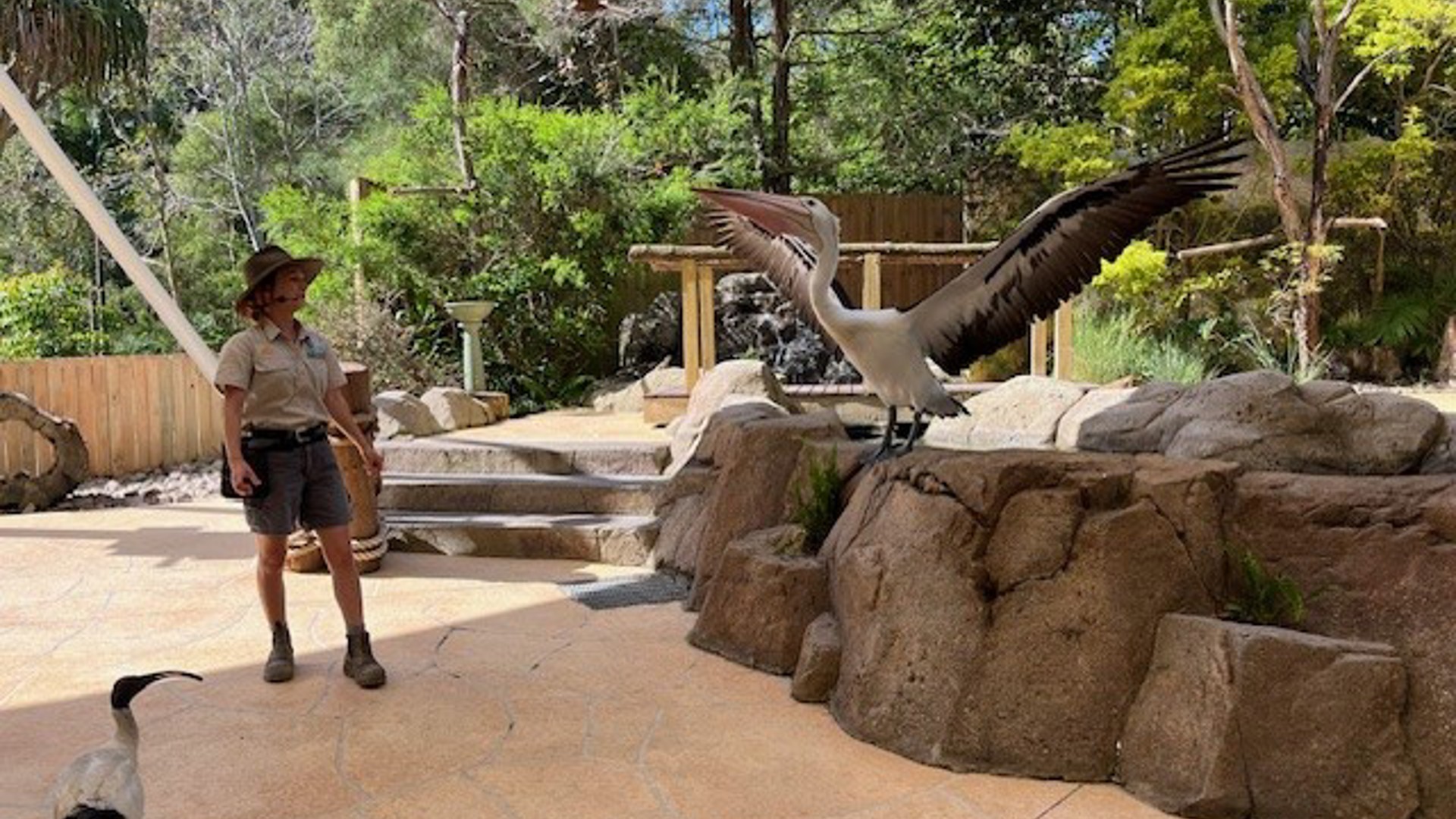 Currumbin Wildlife Park