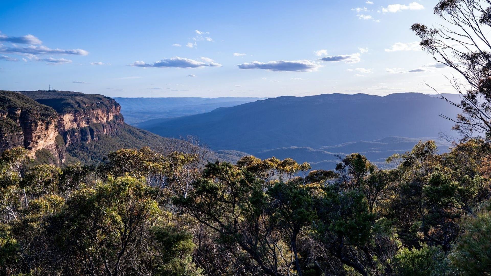 198396 Jamison Lookout Blue Mountains National Park CR DNSW