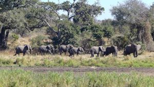 Sunway South Africa Kruger Emily Barnett-1020138