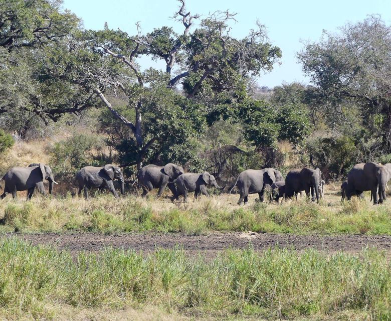 Sunway South Africa Kruger Emily Barnett-1020138