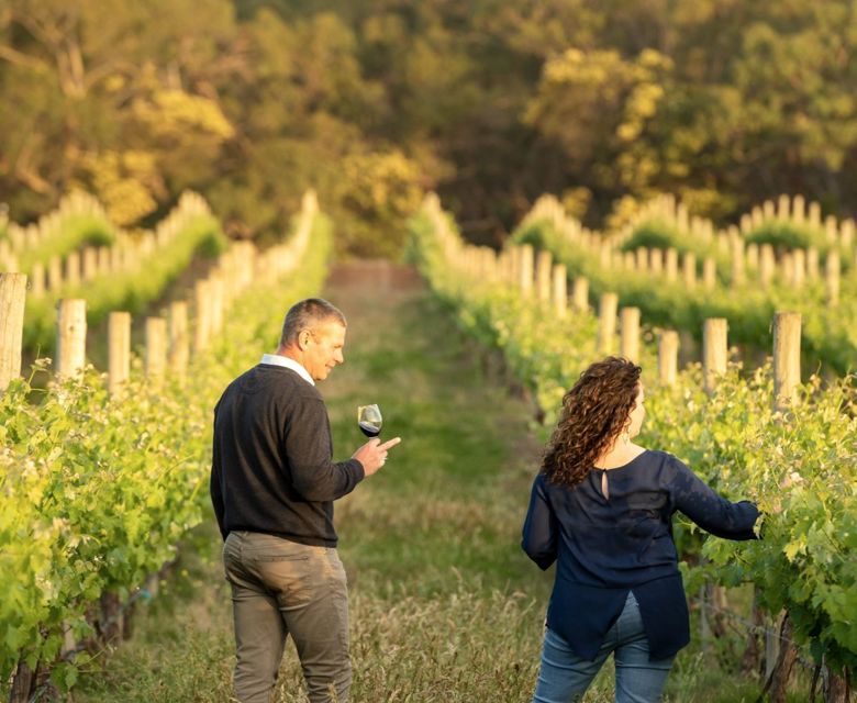 1070209 Raidis Estate Coonawarra CR Tourism Australia And SATC