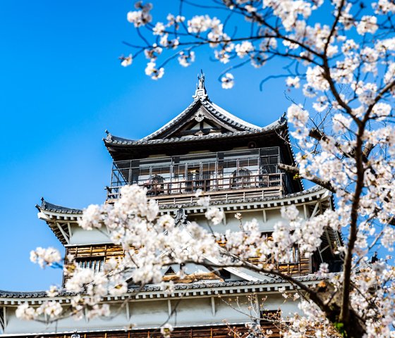 Hiroshima Japan Hiroshima castle