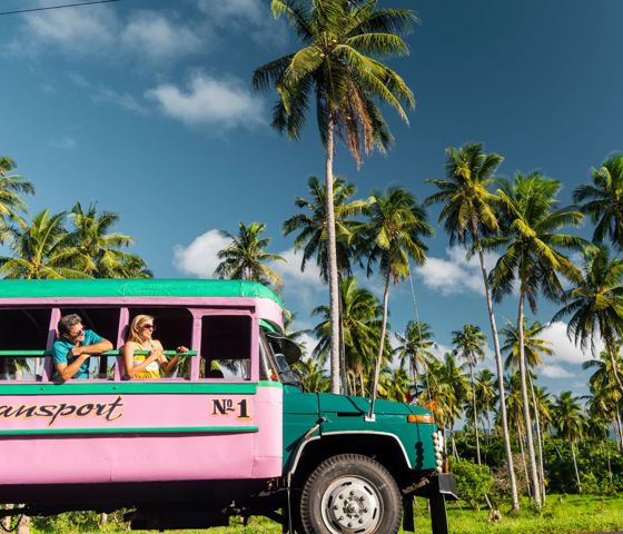 Pink Busses in Samoa