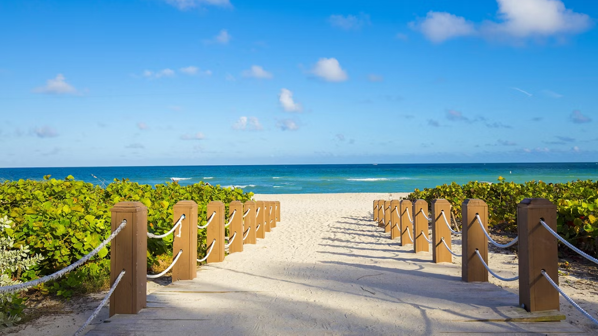 Miami Beach Sandy Beach Sun Ocean