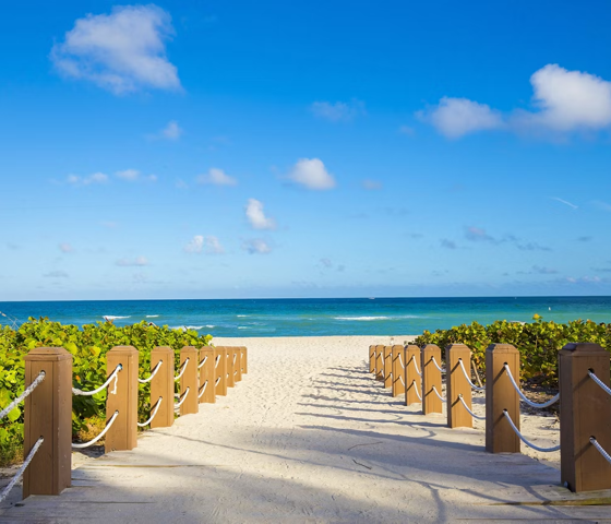Miami Beach Sandy Beach Sun Ocean