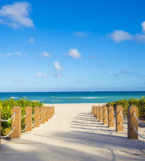 Miami Beach Sandy Beach Sun Ocean