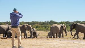 Sunway Zimbabwe Hwange NP Bruce Taylor-0635