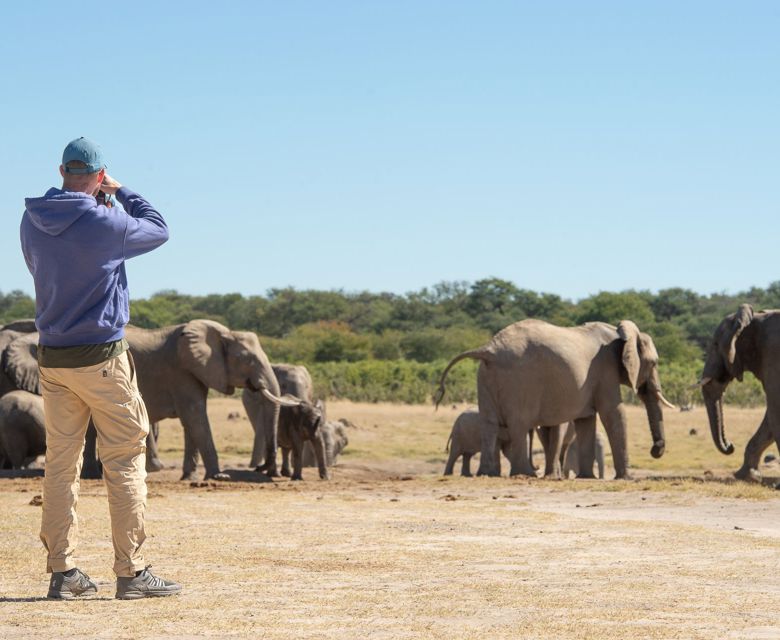 Sunway Zimbabwe Hwange NP Bruce Taylor-0635