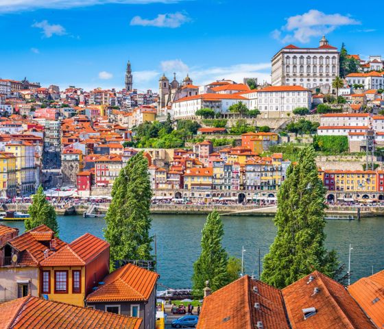 Portugal Douro River Skyline