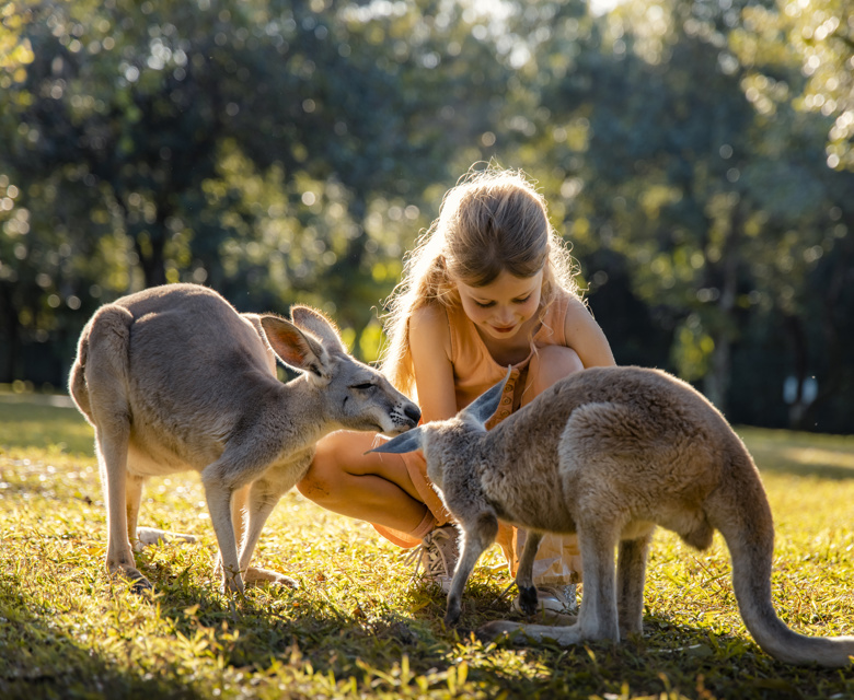 A kid with Kangaroos from Australia Zoo 