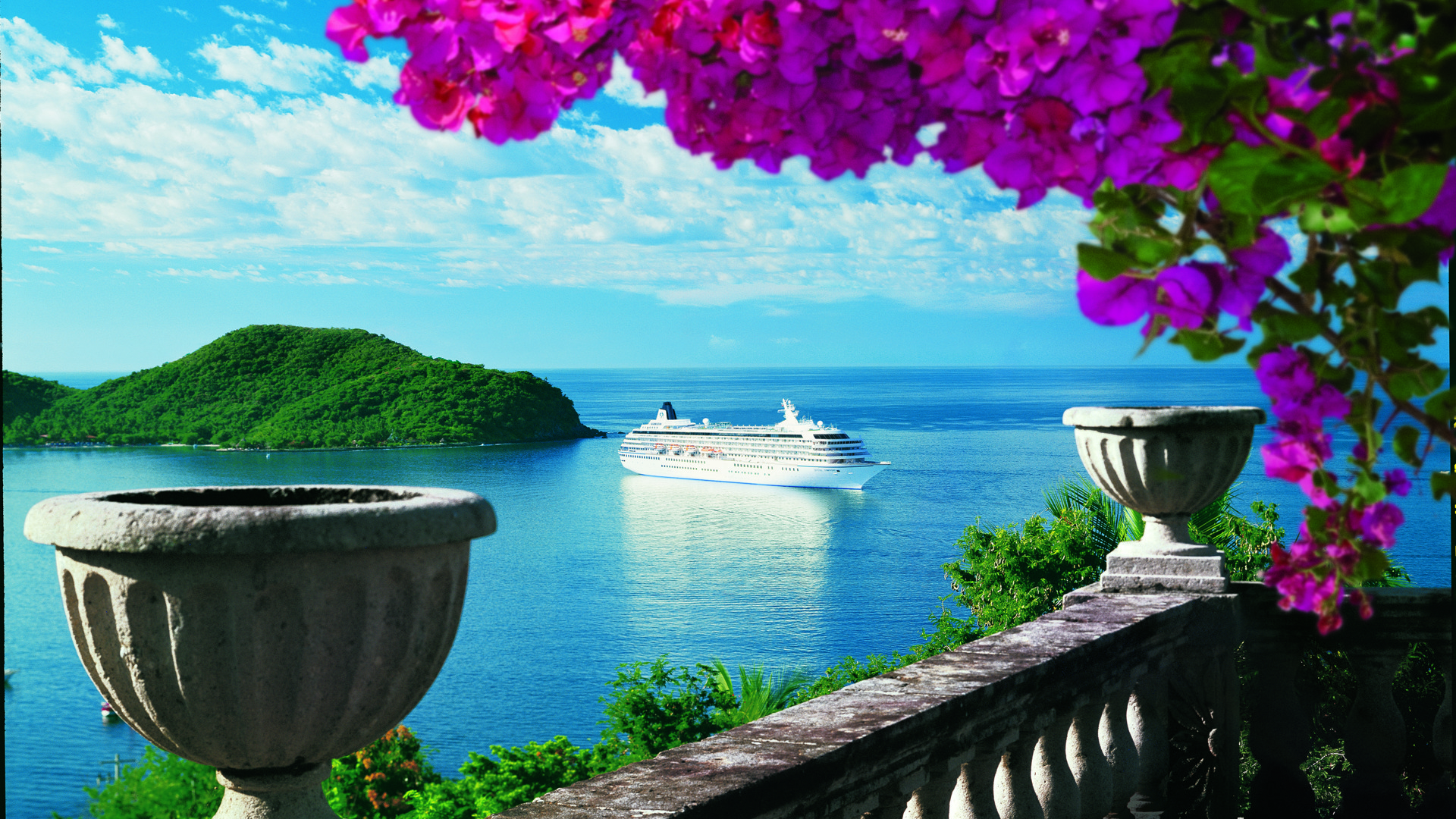  Crystal Bougainvillea NS