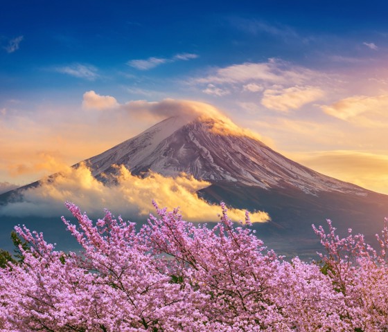 Mt Fuji Sunset Asia Japan Mount Fuji Spring 