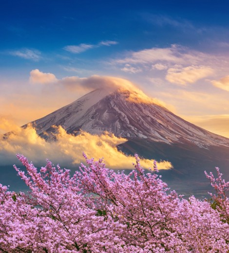 Mt Fuji Sunset Japan
