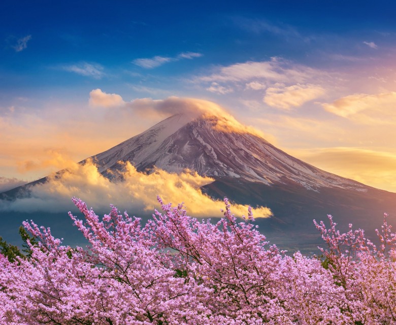 Japan FAQs