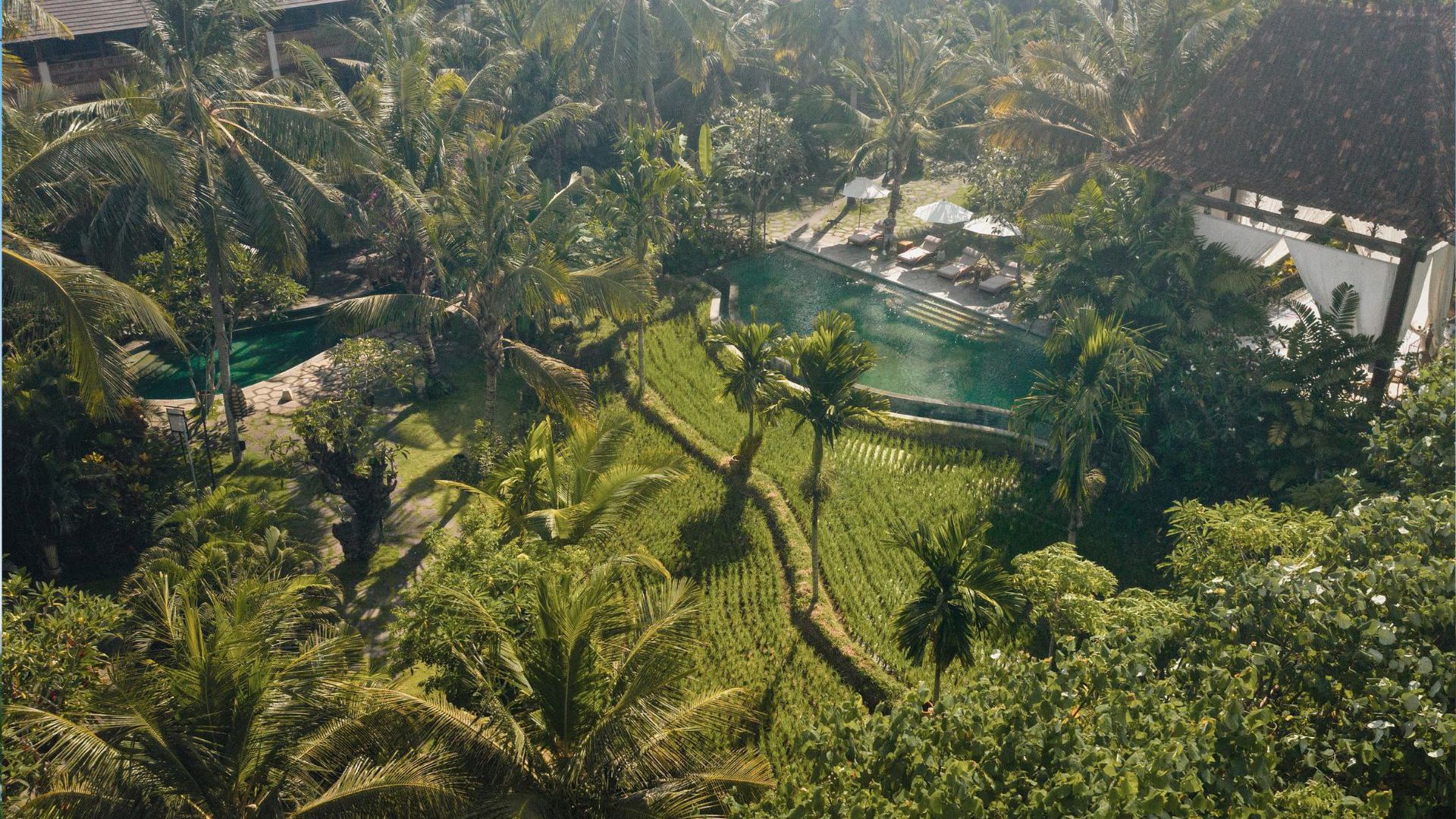 Alaya Resort Ubud - Aerial View
