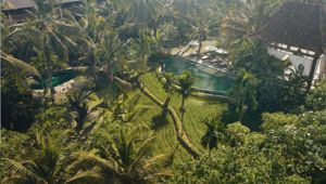 Alaya Resort Ubud - Aerial View