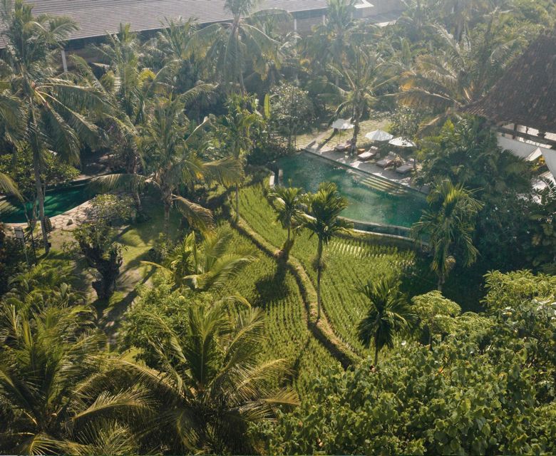 Alaya Resort Ubud - Aerial View