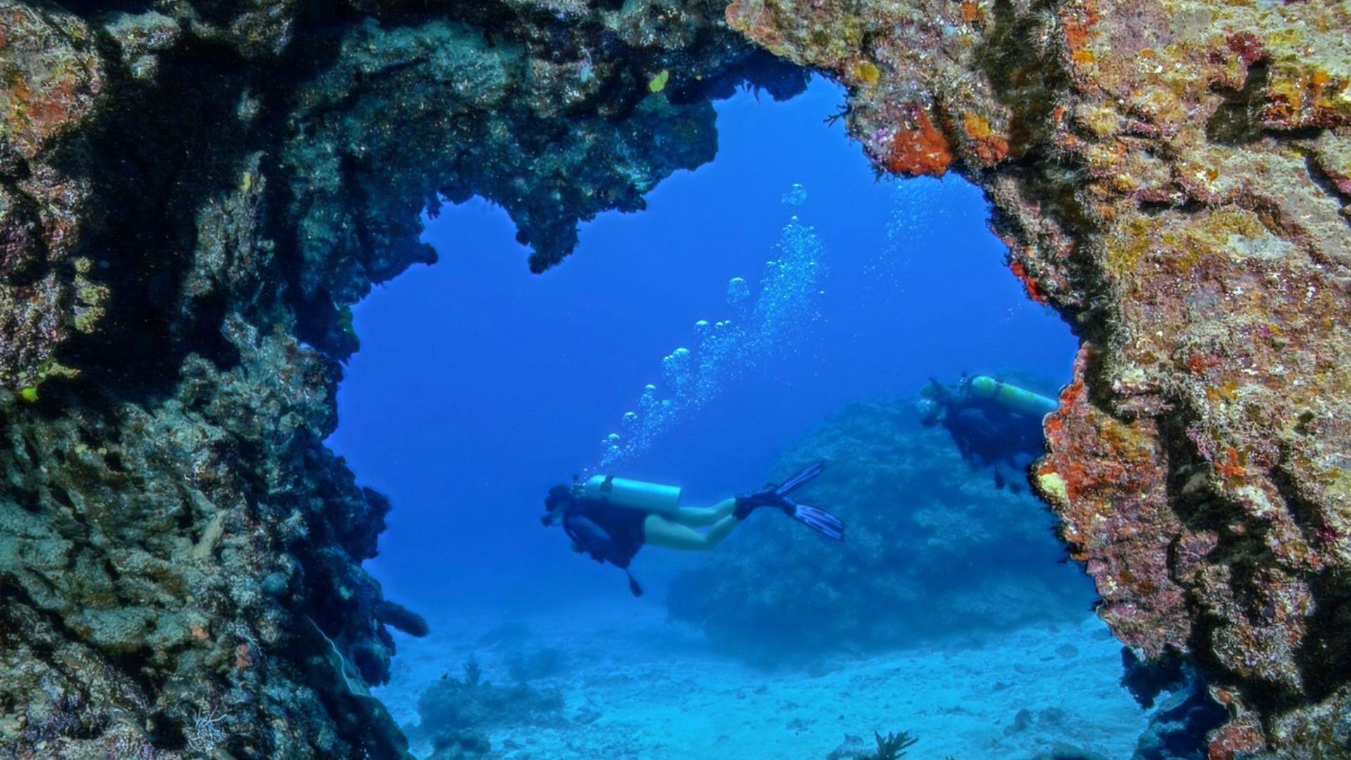 Barefoot Kuata Island Resort - diving