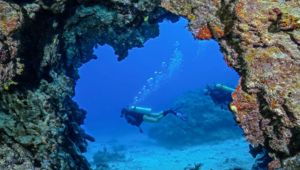 Barefoot Kuata Island Resort - diving