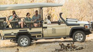 Waterfalls and Wildlife - Savute Wild Dog Sighting