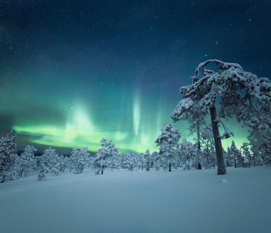 Aurora Lights Finland 