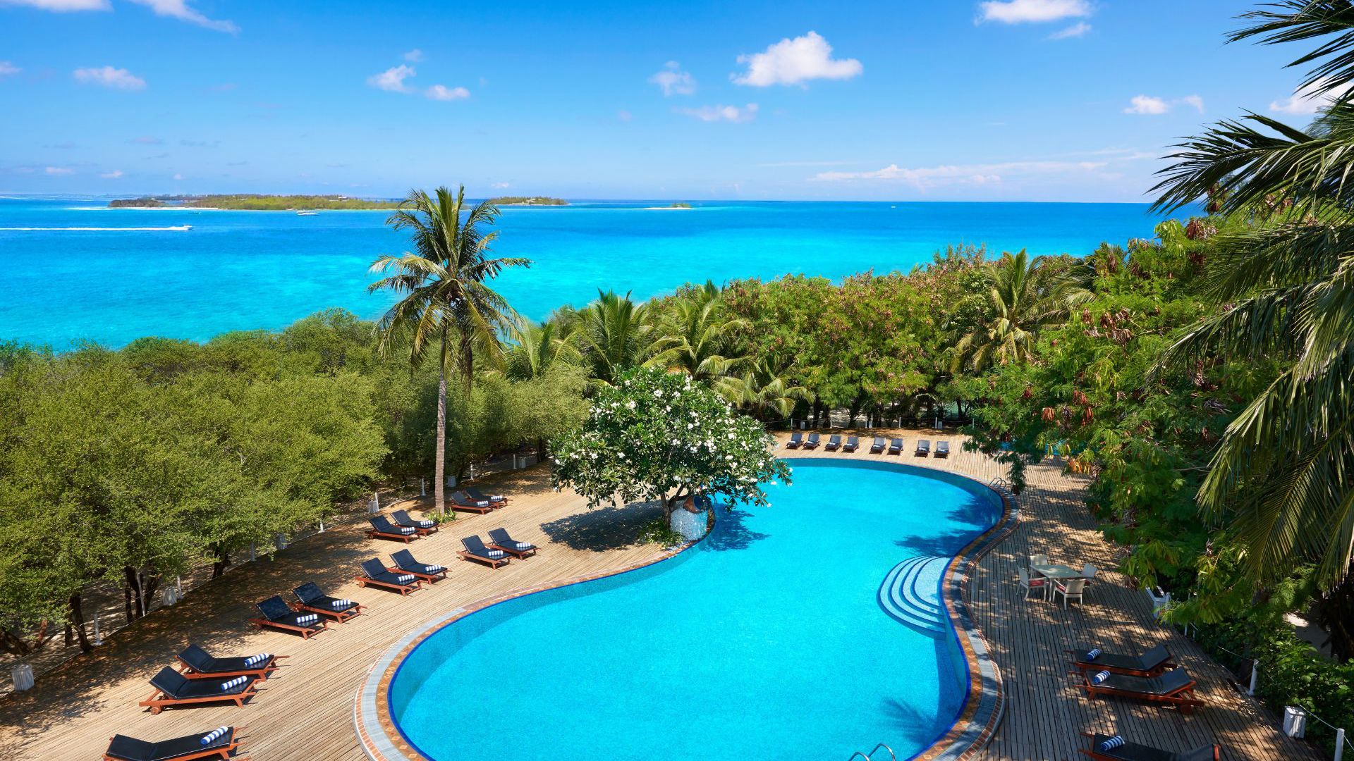 Cinnamon Dhonveli Main Pool View