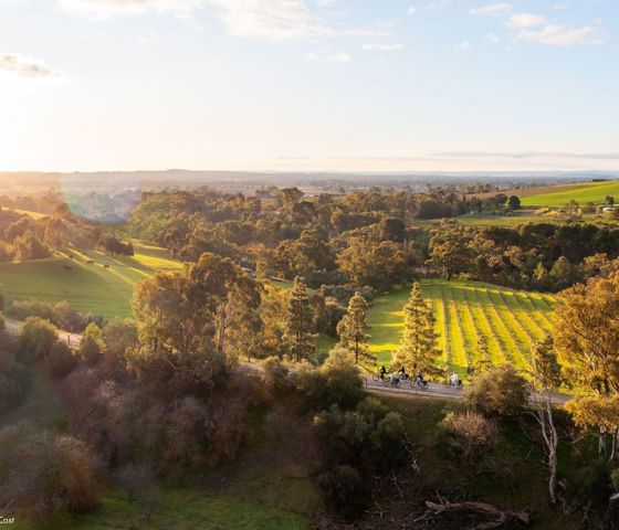 Bikeabout Riding Barossa 2